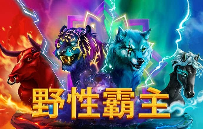 k1体育app官网网页